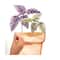 RoomMates Brown & Green Watercolor Potted Herbs Wall Decals